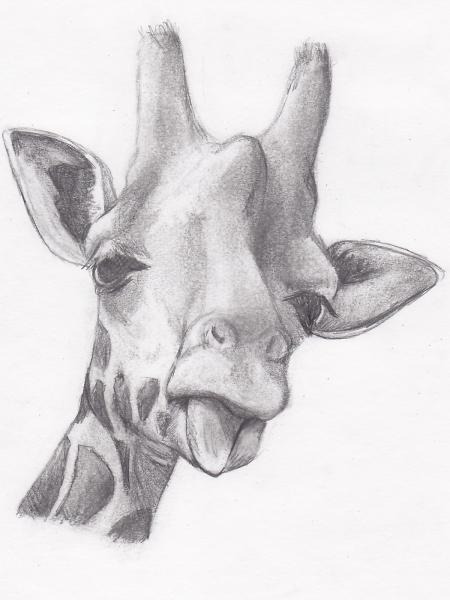 Daria, 15 years old, from Dallas, USA
