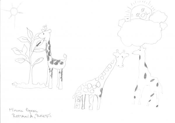 Miru, 9 years old, from Ploiesti, Romania